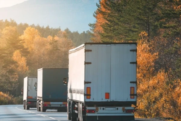 Ankara Dalaman Nakliyat